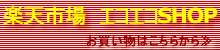 �C���^�[�l�b�g�V���b�s���O��